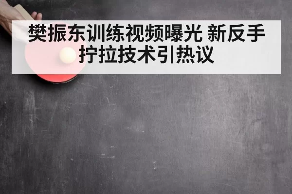 樊振东训练视频曝光 新反手拧拉技术引热议（ayx）