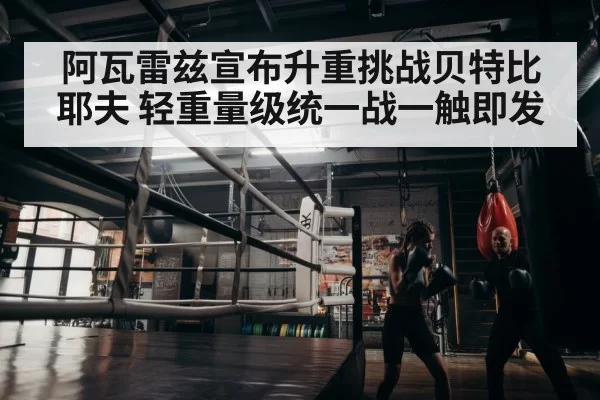 boxer training